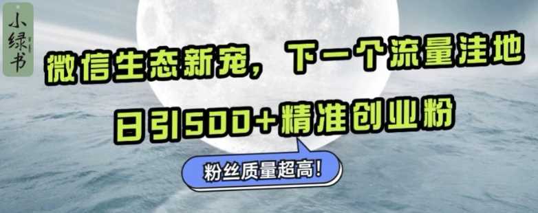 微信生态新宠小绿书：下一个流量洼地，日引500+精准创业粉，粉丝质量超高-九才资源网