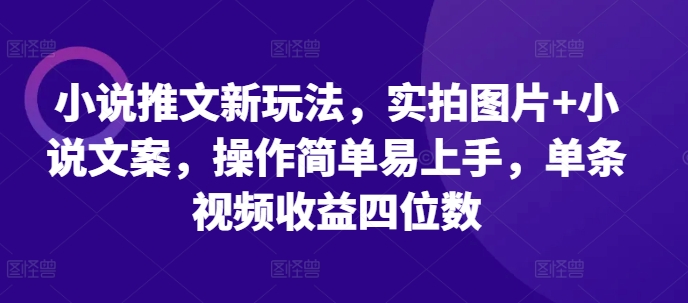 小说推文新玩法，实拍图片+小说文案，操作简单易上手，单条视频收益四位数-九才资源网