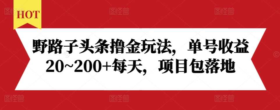 野路子头条撸金玩法，单号收益20~200+每天，项目包落地-九才资源网