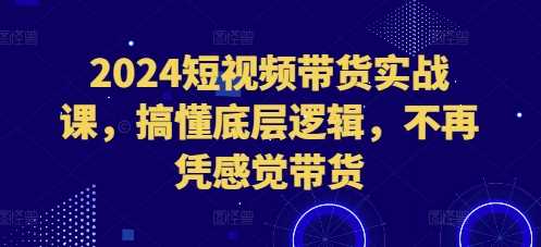 2024短视频带货实战课，搞懂底层逻辑，不再凭感觉带货-九才资源网