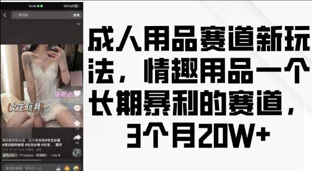 成人用品赛道新玩法，情趣用品一个长期暴利的赛道，3个月收益20个【揭秘】-九才资源网