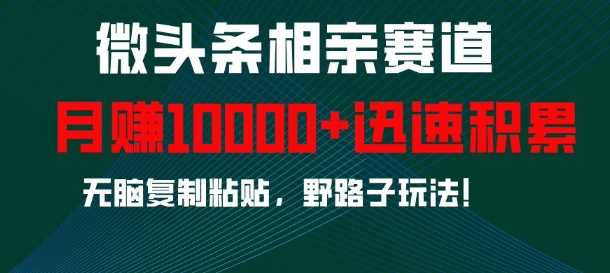 微头条相亲赛道，迅速积累，无脑复制粘贴，野路子玩法，月入1w-九才资源网