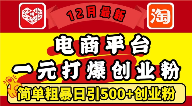 12月最新：电商平台1元打爆创业粉，简单粗暴日引500+精准创业粉，轻松月入过W【揭秘】-九才资源网