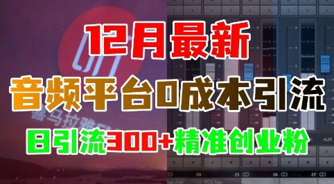 12月最新：音频平台0成本引流，日引流300+精准创业粉-九才资源网