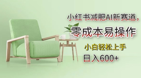 小红书减肥AI新赛道，零成本易操作，日入多张，小白轻松上手【揭秘】-九才资源网