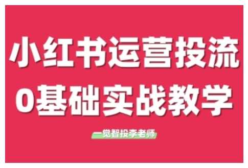 小红书运营投流，小红书广告投放从0到1的实战课，学完即可开始投放-九才资源网