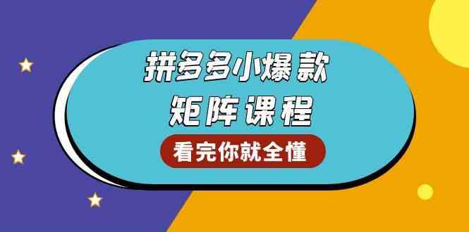 拼多多爆款矩阵课程：教你测出店铺爆款，优化销量，提升GMV，打造爆款群-九才资源网
