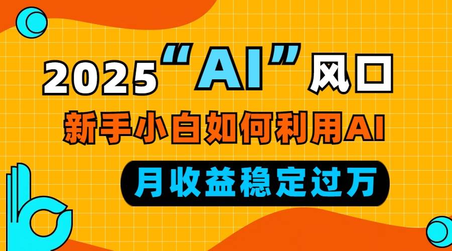 （13821期）2025“ AI ”风口，新手小白如何利用ai，每月收益稳定过万-九才资源网