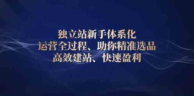 独立站新手体系化 运营全过程，助你精准选品、高效建站、快速盈利-九才资源网