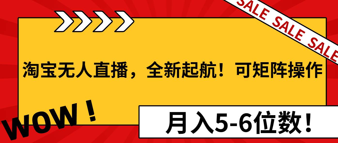 （13946期）淘宝无人直播，全新起航！可矩阵操作，月入5-6位数！-九才资源网