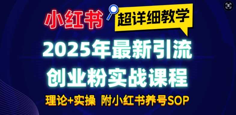 2025年最新小红书引流创业粉实战课程【超详细教学】小白轻松上手，月入1W+，附小红书养号SOP-九才资源网