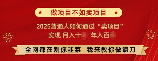必看，做项目不如卖项目，2025普通人如何通过“卖项目”实现月入十个，年入百个-九才资源网