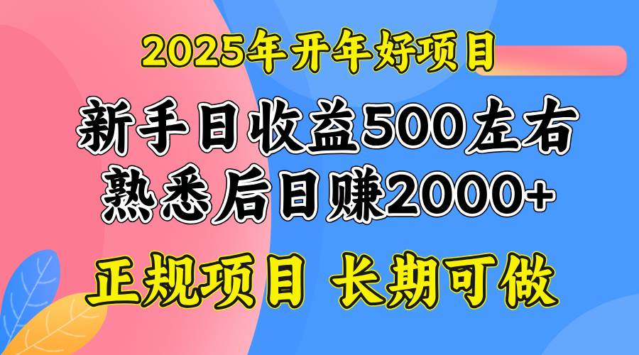 （14076期）2025开年好项目，单号日收益2000左右-九才资源网