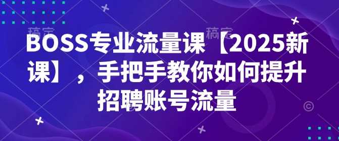 BOSS专业流量课【2025新课】，手把手教你如何提升招聘账号流量-九才资源网