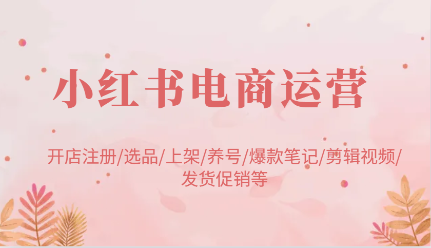 小红书电商运营：开店注册/选品/上架/养号/爆款笔记/剪辑视频/发货促销等-九才资源网