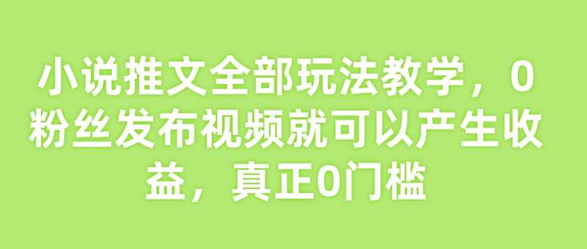 小说推文全部玩法教学，0粉丝发布视频就可以产生收益，真正0门槛-九才资源网