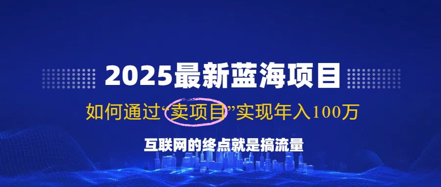 （14305期）2025最新蓝海项目，零门槛轻松复制，月入10万+，新手也能操作！-九才资源网