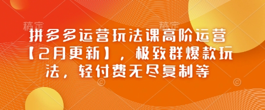 拼多多运营玩法课高阶运营【2月更新】，极致群爆款玩法，轻付费无尽复制等-九才资源网