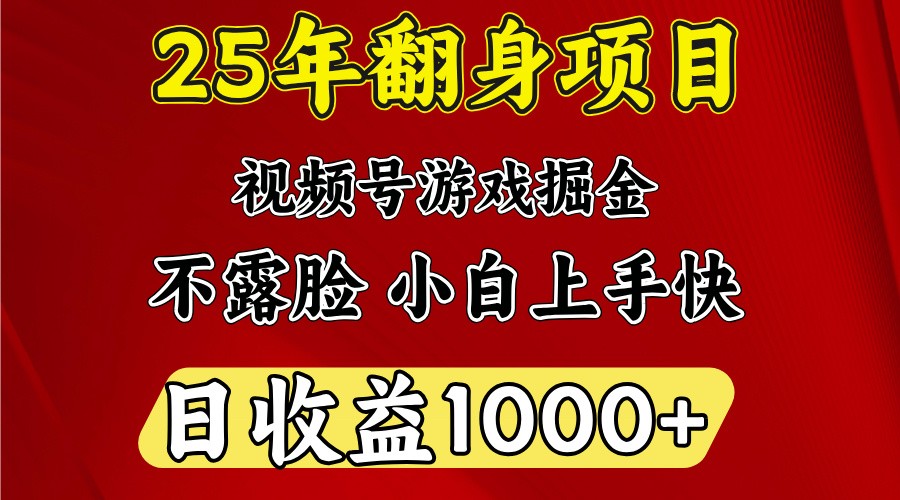 一天收益1000+ 25年开年落地好项目-九才资源网