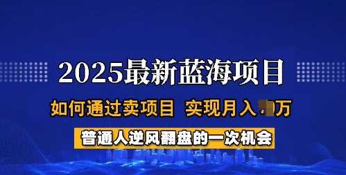 2025蓝海项目，普通人如何通过卖项目，实现月入过W，全过程【揭秘】-九才资源网