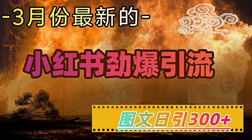 小红书超劲爆引流手段，图文日引300+轻松变现1W-九才资源网