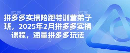 拼多多实操陪跑特训营弟子班，2025年2月拼多多实操课程，海量拼多多玩法-九才资源网