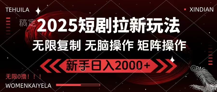 （14429期）2025短剧拉新玩法，无需注册登录，无限0撸，无脑批量操作日入2000+-九才资源网