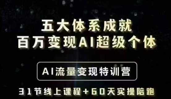 五大体系成就百万变现AI超级个体- AI流量变现特训营，一步一步教你一个人怎么年入百W-九才资源网