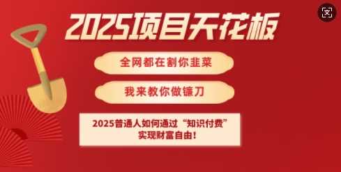 2025项目天花板普通人如何通过知识付费，实现财F自由【揭秘】-九才资源网