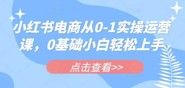 小红书电商从0-1实操运营课，0基础小白轻松上手-九才资源网