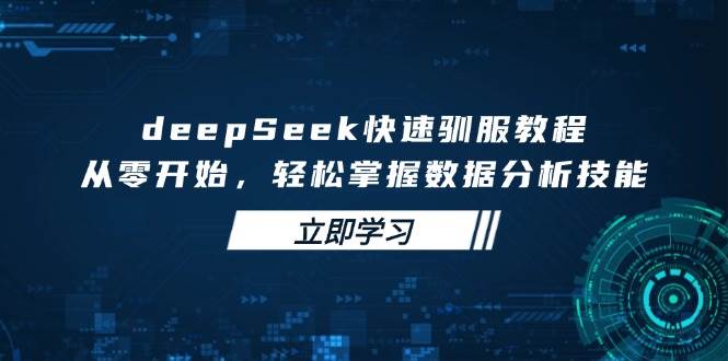 deepSeek快速驯服教程，从零开始，轻松掌握数据分析技能-九才资源网