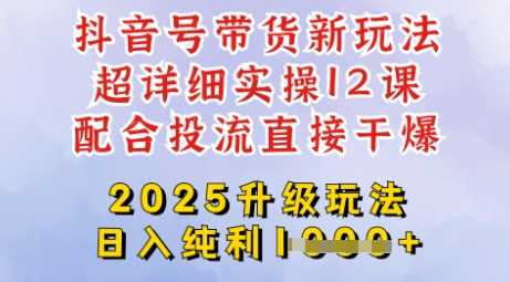 2025全新升级抖音带货玩法，一天纯利四位数，从剪辑到选品再到发布投流，超详细玩法揭秘-九才资源网