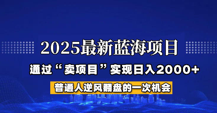 2025年蓝海项目，如何通过“网创项目”日入2000+-九才资源网