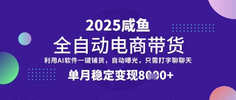 全网首发【闲鱼全自动电商带货】三年磨一剑，一朝露锋芒，单月稳定变现8k+【揭秘】-九才资源网