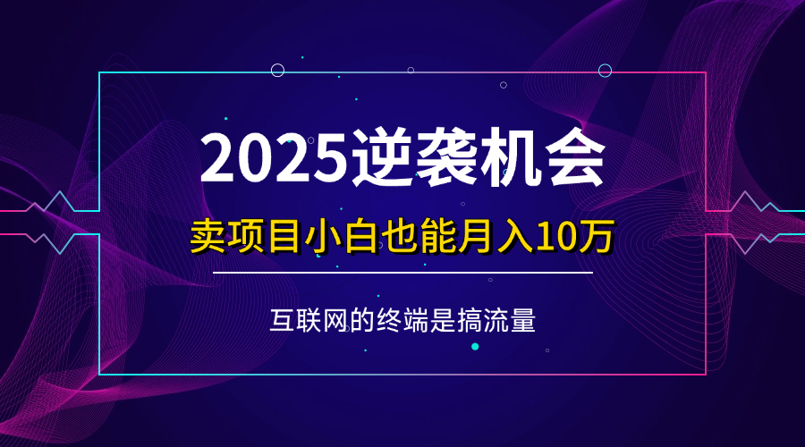 （14122期）项目标题：2025逆袭机会，卖项目小白也能轻松月入10万+-九才资源网
