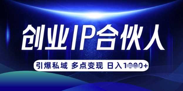 云帆·创业ip合伙人打造3.0，从0到1教你做网创，实现月入过W-九才资源网