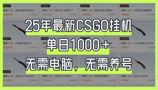 （14178期）25年最新CSGO挂机系统，单日1000+，无需电脑，无需养号，0基础可上手-九才资源网