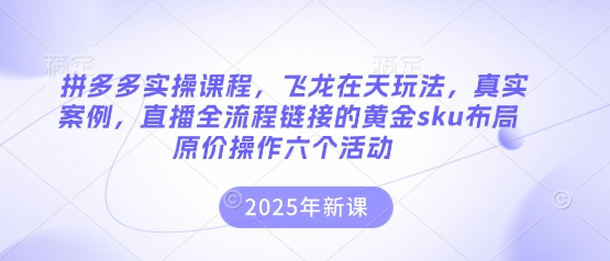 拼多多实操课程，飞龙在天玩法，真实案例，直播全流程链接的黄金sku布局原价操作六个活动-九才资源网