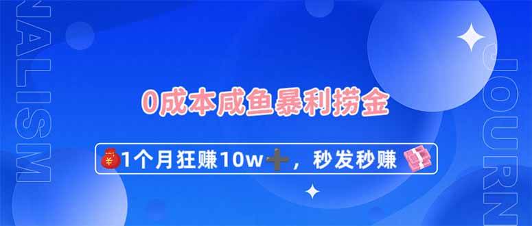 （14257期）0成本闲鱼暴利捞金，1个月狂赚10W+，秒发秒赚新玩法-九才资源网