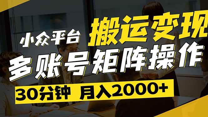 （14288期）得物平台变现新蓝海！无脑复制热门视频，多账号同步运营，每天半小时躺…-九才资源网