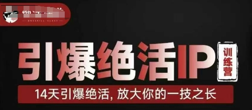 引爆绝活IP训练营，14天引爆绝活，放大你的一技之长-九才资源网