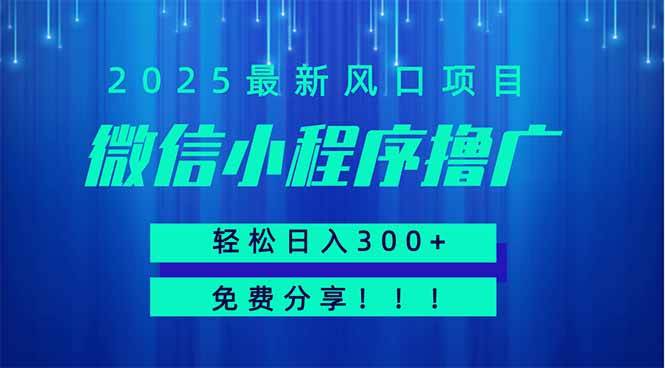 （14375期）微信小程序撸广，最新风口项目，日入300+ 免费分享 可批量操作 小白可…-九才资源网