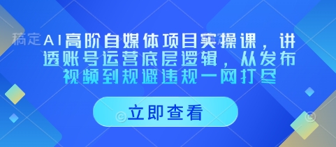 AI高阶自媒体项目实操课，讲透账号运营底层逻辑，从发布视频到规避违规一网打尽-九才资源网