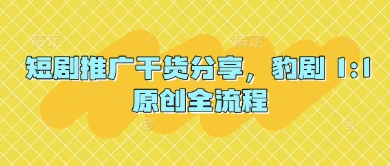 短剧推广干货分享，豹剧 1:1原创全流程-九才资源网