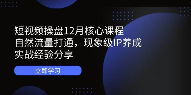 （14447期）短视频操盘12月核心课程：自然流量打通，现象级IP养成，实战经验分享-九才资源网