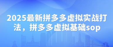 2025最新拼多多虚拟实战打法，拼多多虚拟基础sop-九才资源网