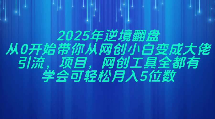（14473期）2025年逆境翻盘，从0开始带你从网创小白变成大佬，引流，项目，网创工…-九才资源网