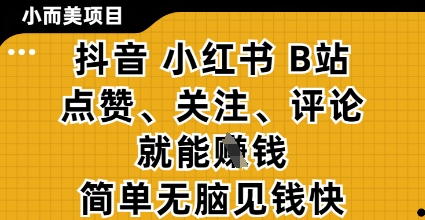 小而美的项目，抖音小红书B站视频点赞、关注、评论就能挣钱，简单无脑立见收益，妥妥的零撸项目【揭秘】-九才资源网
