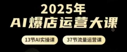 2025年AI爆店运营大课，13节AI实操课+37节流量运营课-九才资源网