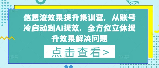 信息流效果提升集训营，从账号冷启动到AI提效，全方位立体提升效果解决问题-九才资源网